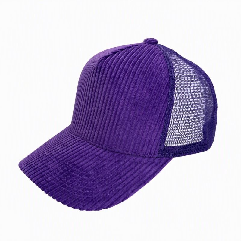 Customized Embroidered Logo 5- - Corduroy Cap 5 Panel 评论和价格